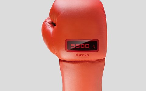 Boxhandschuh "Puncho" 02